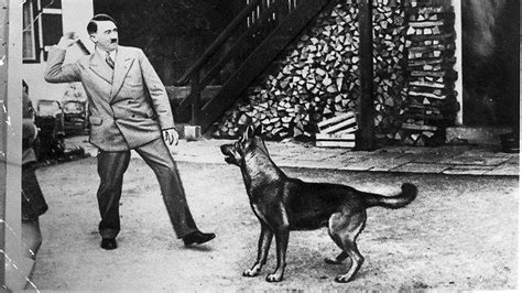 Famous Dogs : Blondi - Hitler's German Shepherd