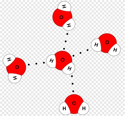 Molécula agua modelo molecular enlace de hidrógeno enlace químico, agua, texto, biología png ...