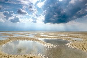 Nationaal park Schleswig-Holstein: de Waddenzee ©Nationalparkverwaltung ...