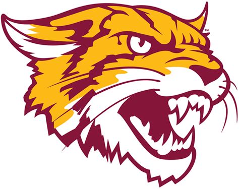 Bethune-Cookman Wildcats Logo - Alternate Logo - NCAA Division I (a-c) (NCAA a-c) - Chris ...