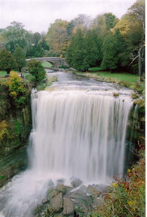 Websters Falls - Hamilton, ON | Beautiful waterfalls, Waterfall, Waterfall pictures