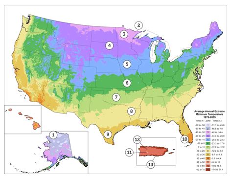 Planting Guide By Zip Code - all about hobby