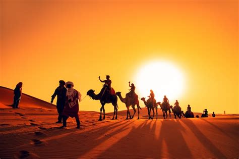 Premium Photo | Camel caravan at sunset in the Sahara desert.