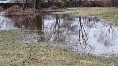 How to Remove Standing Water in Your Yard - Venyscapes