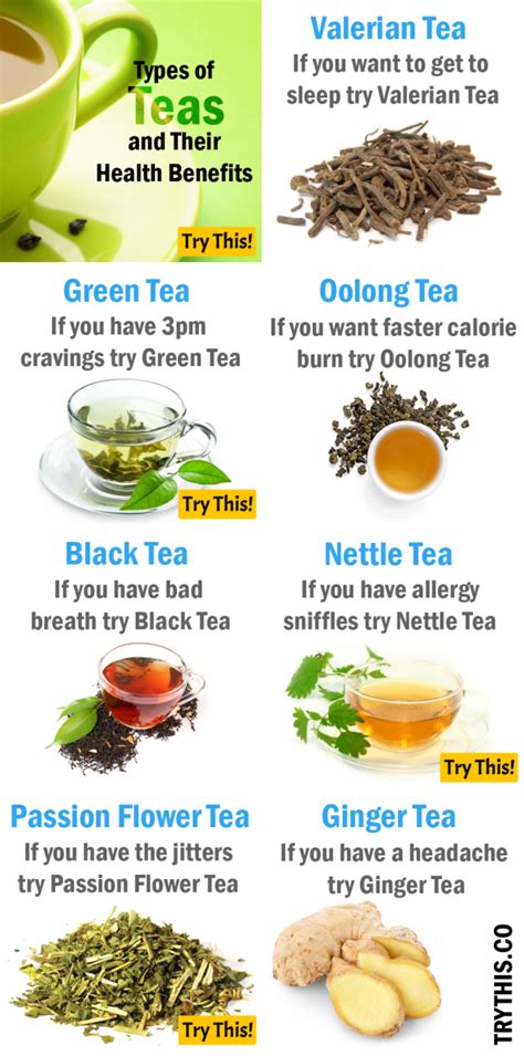 7 Types of Teas and Their Health Benefits - RemedyGrove