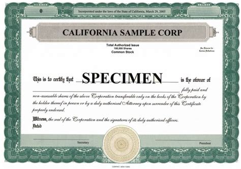 Stock Certificate Template Microsoft Word Editable Free inside Editable Stock Certificate T ...