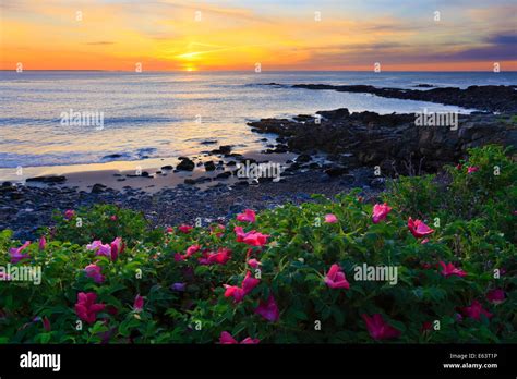 Sunrise, Marginal Way, Ogunquit, Maine, USA Stock Photo - Alamy