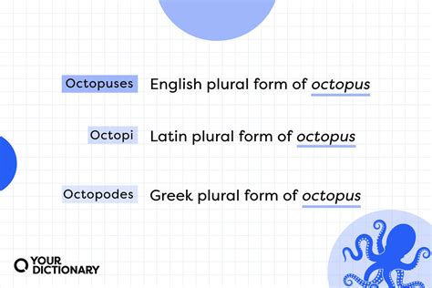 Octopi vs. Octopuses | The Correct Plural of Octopus | YourDictionary