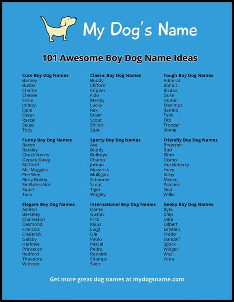 Funny Human Names For Pets - Funny PNG