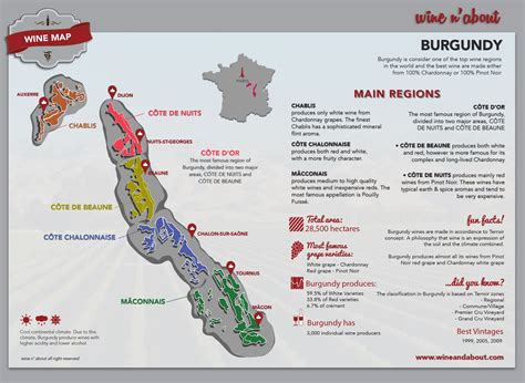 Wine n’ About | Burgundy Region Map