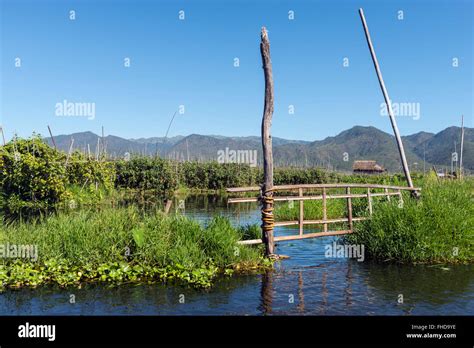 Floating gardens. Inle lake, Burma Stock Photo - Alamy