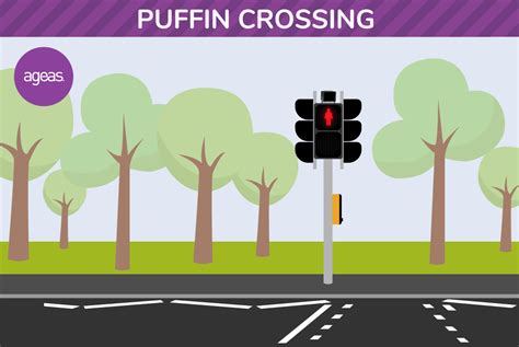 A guide to pedestrian crossings - Ageas