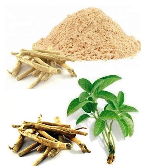 Ashwagandha Dry Extract(Withania Somnifera)