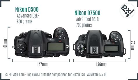 Nikon D500 vs Nikon D7500 Detailed Comparison - PXLMAG.com