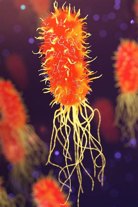 an orange and yellow jelly floating on top of purple water next to ...