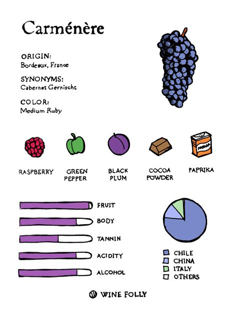 Featured Grape: Carménère | Wine Folly