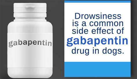 Gabapentin For Dogs Uses - PetRefine