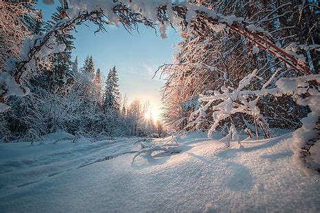 HD wallpaper: winter, snow, four-wheel drive, side, terrain, Ural-4320 ...