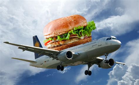 Burger on a plane : r/burgeronaplane