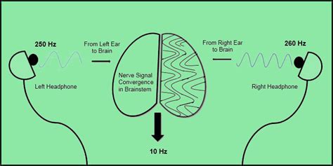 Dr. Andrew Huberman – How 40Hz Binaural Beats Can Improve Your Focus ...