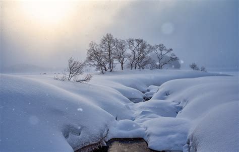 Wallpaper winter, snow, trees, morning, Japan, the snow, Japan ...