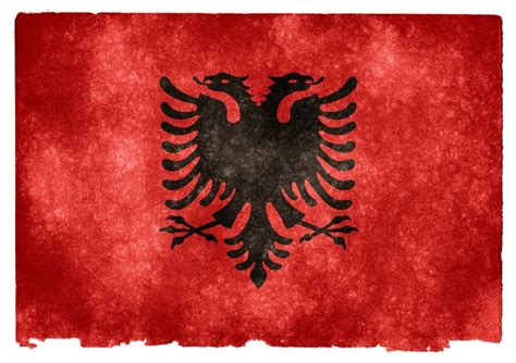 Albania in the EU | Flag, Albania, Albania flag