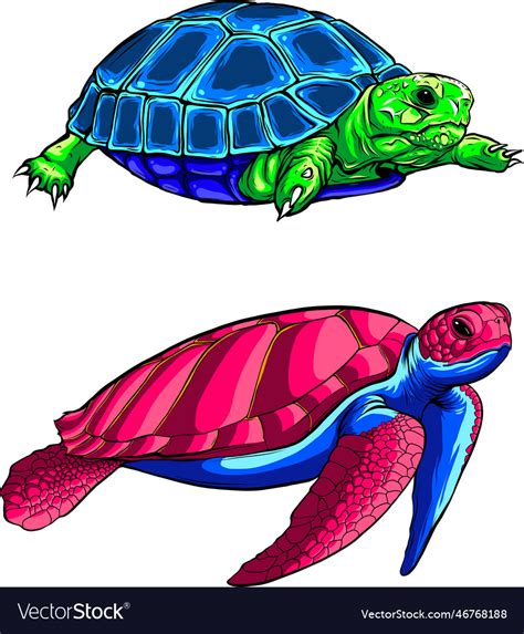 Cute turtle set on white Royalty Free Vector Image