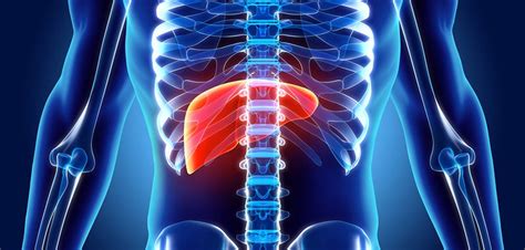 Y90 Therapy in Nuclear Medicine: What You Need to Know