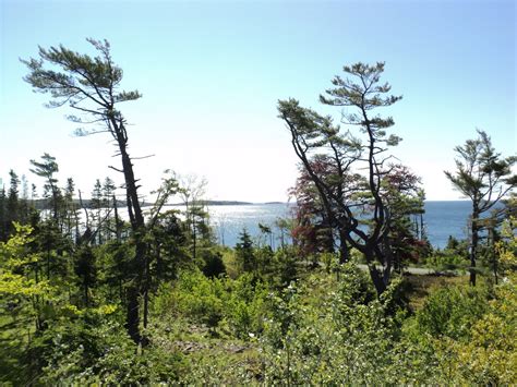 Passage to Sackville.: Point Pleasant Park