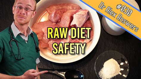 Are Raw Diets Safe for Dogs and Cats (for owners as well as pets)? — Our Pet's Health