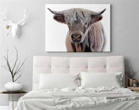 Highland Cow Art Print. Scottish Native Cow Wall Art. - Etsy