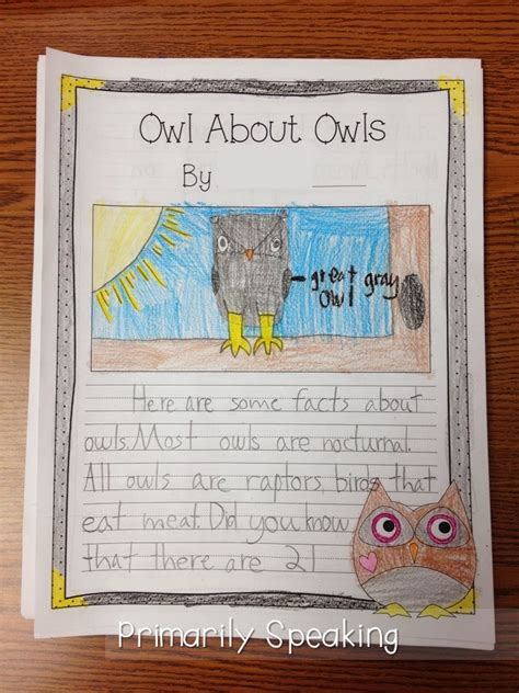 Whoooo Loves Owls? | Primarily Speaking