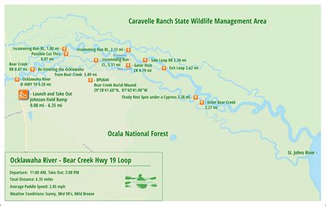 Florida Paddle Notes | The Ocklawaha River