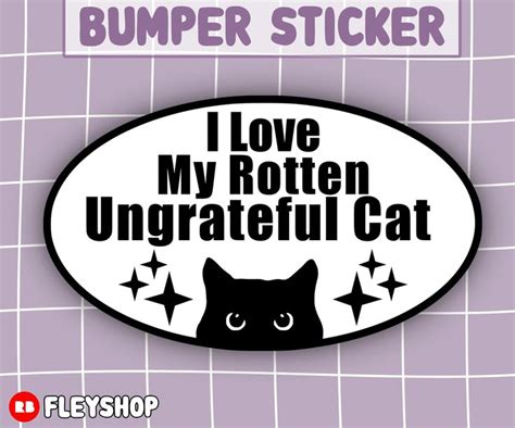 Funny Bumper Stickers, Car Humor, Dream Cars, Funny Cats, Bumpers, Car Decal, Car Stuff, Memes ...