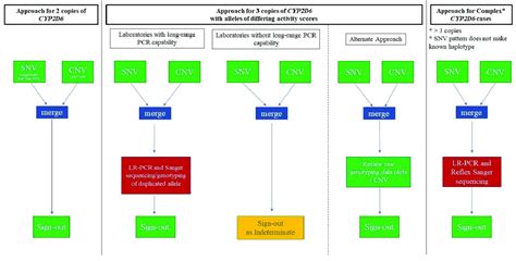 The typical CYP2D6-testing workflow incorporating a combination of... | Download Scientific Diagram