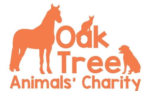 Oak Tree Animals rescues seven ponies thanks to Covid grant