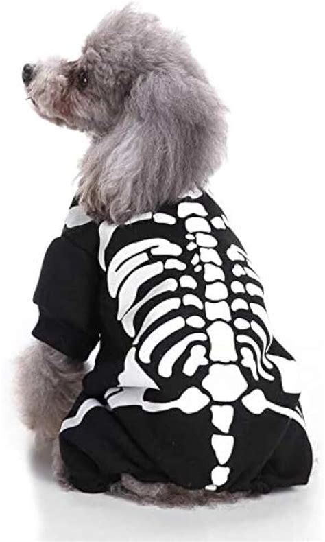 Amazon.com: skeleton dog costume