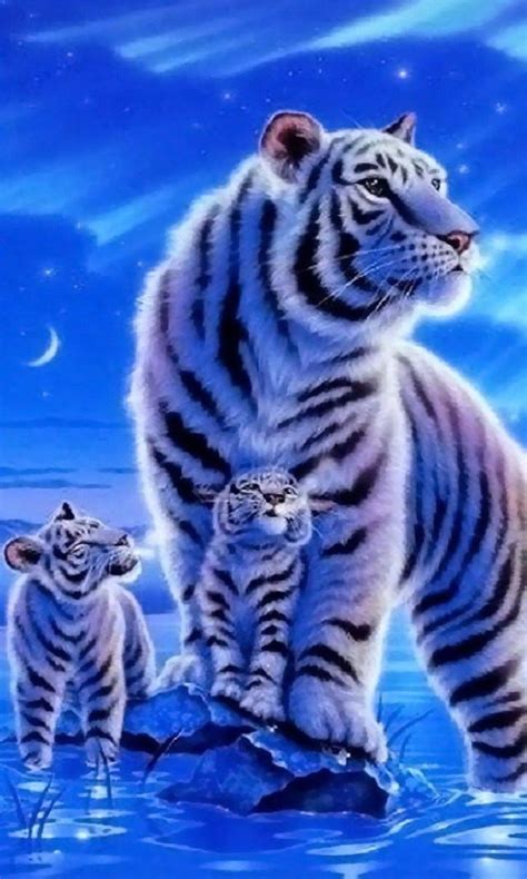 Cute Tiger Wallpapers Wallpaper | Cute tigers, Tiger pictures, Tiger wallpaper