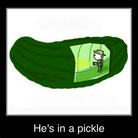 Pickle Jokes And Quotes. QuotesGram