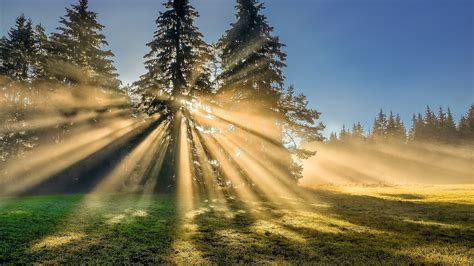 Rays of Sunshine Wallpapers - Top Free Rays of Sunshine Backgrounds - WallpaperAccess