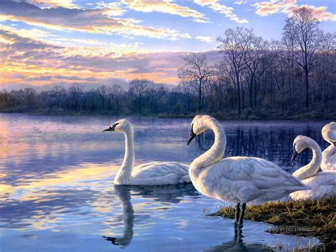 swan lake sunset landscape birds Painting in Oil for Sale