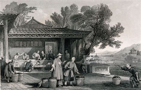 A Chinese Tea Plantation With Workers Carrying And Roasting The Tea 1810 China Historic ...