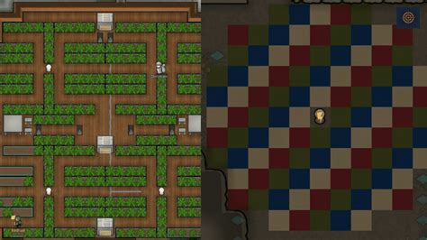 Best Rimworld Hydroponics Layout (2024) - Gameinstants