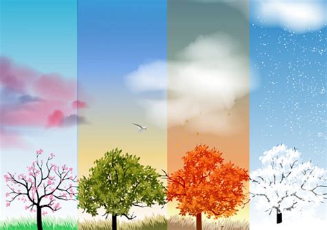 Four seasons tree free vector download (7,995 Free vector) for ...