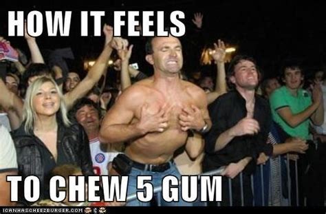 [Image - 505143] | How It Feels To Chew 5 Gum | Know Your Meme