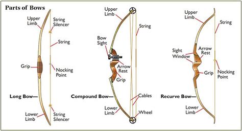 Choose the correct bow for your hunting - Cotton Mesa Whitetails, Texas