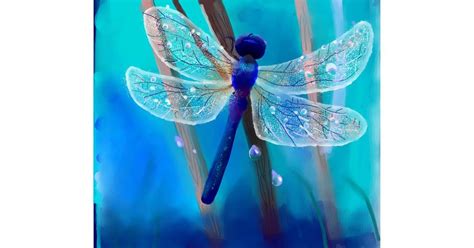 Drawing of Dragonfly by Ja - Drawize Gallery!