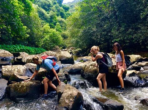 From Chamarel: Waterfall Eco-Hike Adventure | GetYourGuide