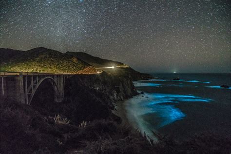 Bioluminescent waves glowing in Big Sur