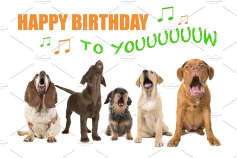 Dogs singing Happy Birthday | High-Quality Animal Stock Photos ~ Creative Market